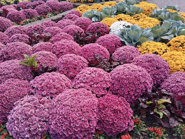 Welche Rolle spielen Baujahr und Zustand bei der Immobilienbewertung?