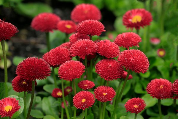 Wie kann man die Qualität bei Bauprojekten sicherstellen?